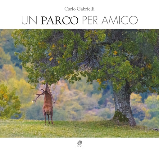 [9788832096231] Un parco per amico